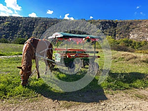 Old horse-drawn taxi carriage with one light brown horse parked on a beautiful hill. High mountains and blue sky with white clouds