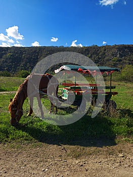 Old horse-drawn taxi carriage with one light brown horse parked on a beautiful hill. High mountains and blue sky with white clouds
