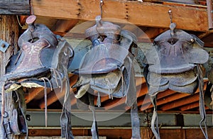 Old horse saddles hanging in a barn in a row