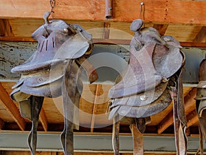 Old horse saddles hanging in a barn in a row