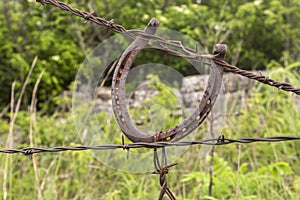 Old horseshoe on barbed wire fence