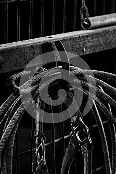 Old horseshoe and rope in barn