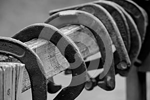 Old horseshoes on fence