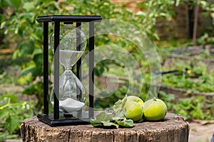 Old hourglass and green apples on wooden deck on a blurred background of a green garden. Glass sandglass in a black