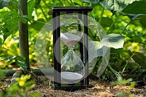 Old hourglass standing on ground strewn with hay. Glass sandglass in black wooden case with white flowing sand. Close up