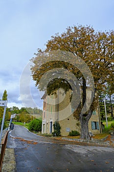 Old house behind the giant autumn oak tree across the curvy road, hills, and dramatic sky. vertical image