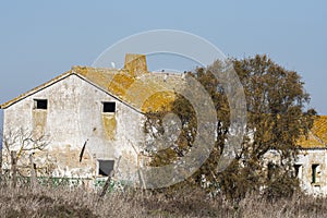 Old house, ruin, in Donana national park, Andalusia Spain