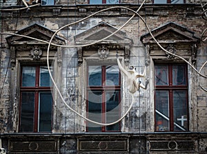 Old House Facade with Monkey Sculpture in Berlin