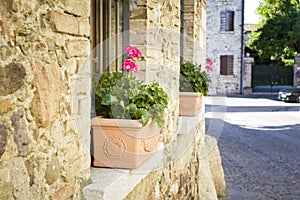 Old house with flowers in italy, europe