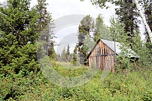 Old house in the forest