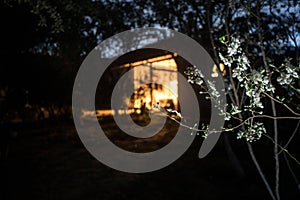 Old house with a Ghost in the forest at night or Abandoned Haunted Horror House in fog. Old mystic building in dead tree forest.