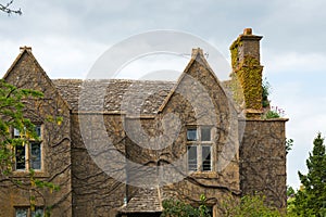 Old house with ivy branches