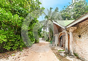 Old house in the jungle