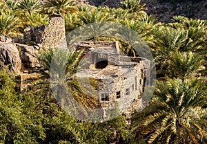 Old house of mountain village Misfat Al Abriyeen surrounded by the garden with date palms, Oman