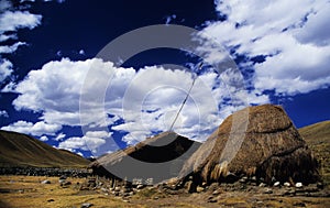 Old house near Huaraz - Peru photo