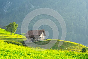 Old house, old building, historical architecture, traditional alps house on green scenery, old house. Wooden vintage