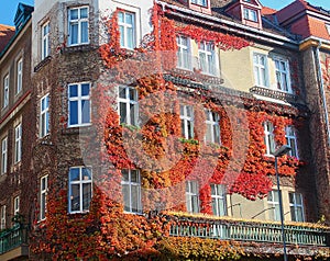 Old house, old city of Bratislava