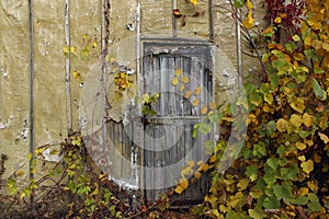 Old House. Old Wooden Door.