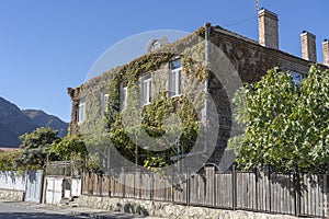 Old house overgrown with grapes in Tbilisi, Georgia