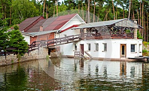 Old house in a pine forest