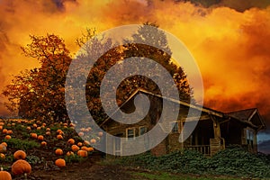 Old House Pumpkin Patch in Oregon fall season USA