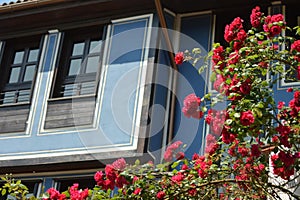 Old house and roses