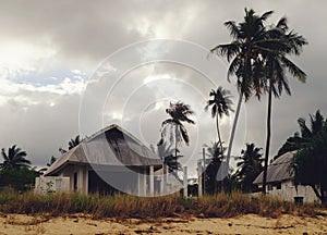 Old house on sandy beach with palms trees