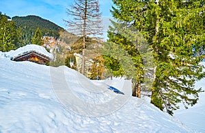 The old house in snowdrifts, Gosau, Austria