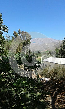 Old house surounded by nature photo