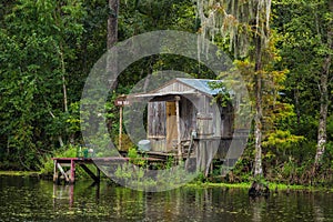 Old house in a swamp in New Orleans photo