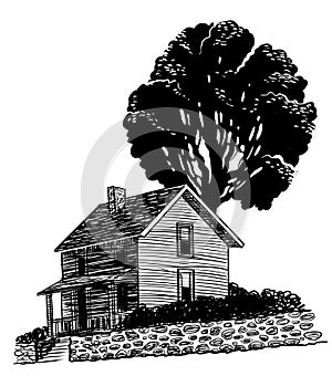 Old house and tree