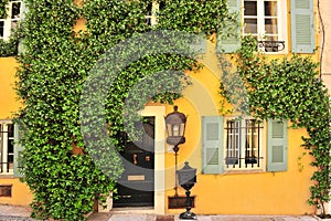 Old house wall with door, windows and plants