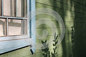 Old house wall with wooden window and beautiful shade of plants