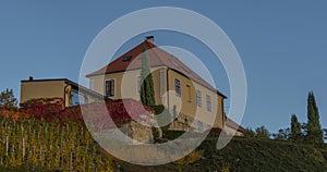 Old house with wineyard in evening in autumn nice color day in Melnik town