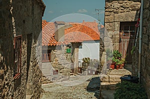 Old houses and flowered pots on cobblestone alley