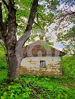 Old houses Serbia