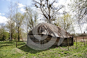 Old houses and sheds with a roof covered with reeds using old-fashioned technology in the Polesie