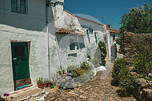 Old houses with whitewashed wall in an alley with flowers