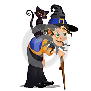 Old hunchbacked witch with walking stick and black cat on her shoulder isolated on white background. Sketch for poster