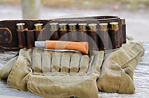 Old hunting cartridges