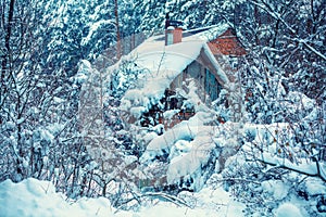 Old hut in the forest. Rural landscape