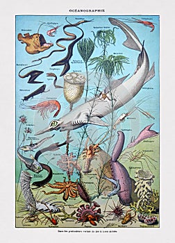 Old illustration about Oceanography