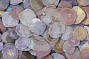 Old Indian coins Background, currency of India, Ancient Indian coins