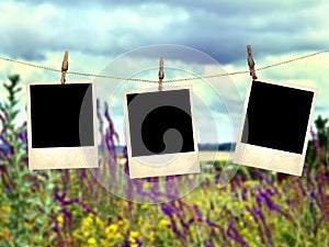 Old instant photos on the background of wild flowers