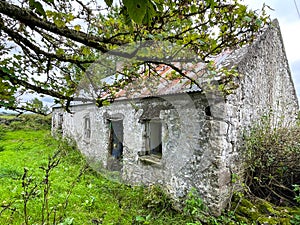 Old Irish derelict cottage