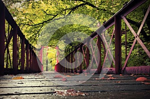 Forest. Old iron bridge