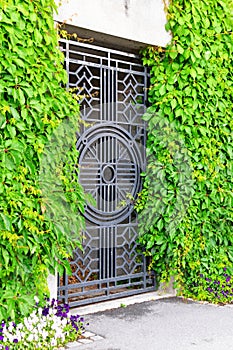 Old iron gate and overgrown plants