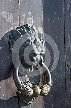 Old iron handle in the shape of lion