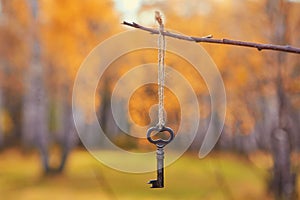 An old iron key on a branch. Autumn natural background.   Romantic scene, soft focus, copy space