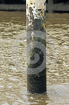 Old iron pillar in the water is rusty.